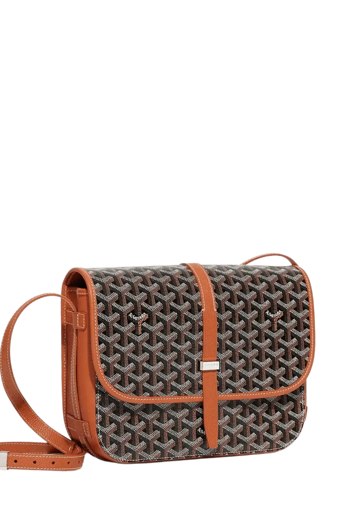 luxury GOYARD bags